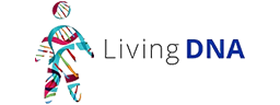 Copywriting Services