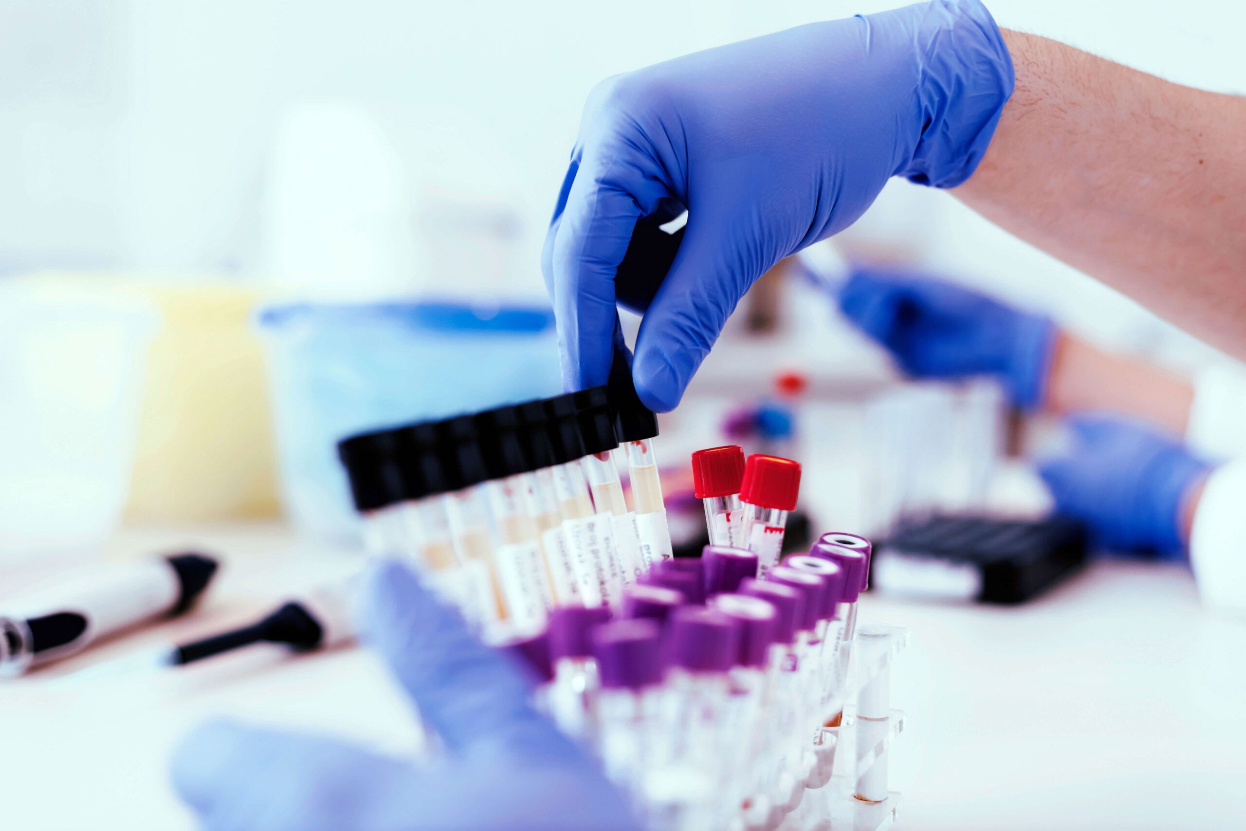 DNA Legal – Driving top tier rankings through content marketing
